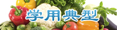 学用典型