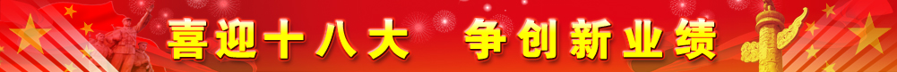 喜迎十八大
