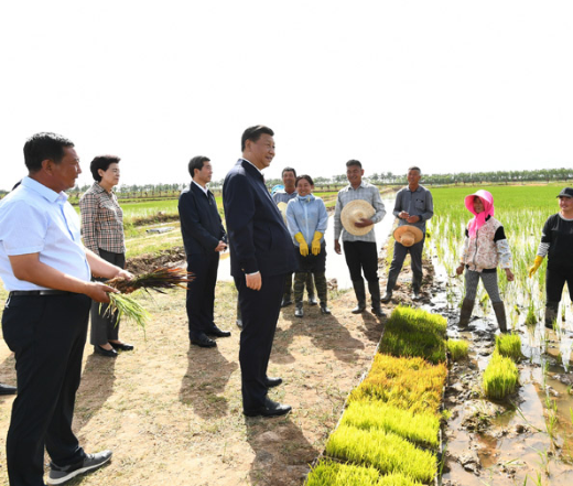 学习习近平在宁夏考察重要讲话精